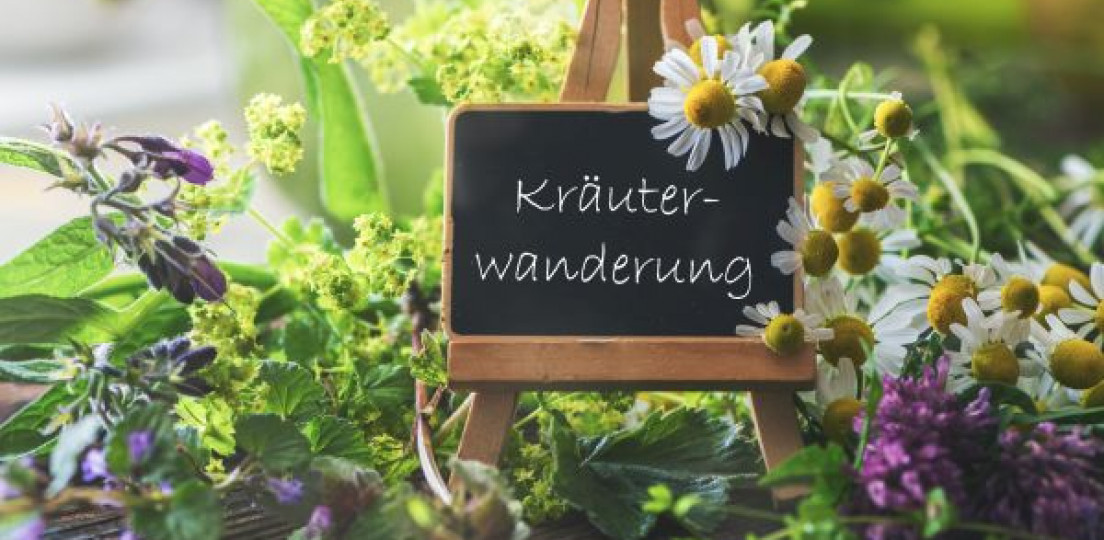 Wildkräuterwanderung 